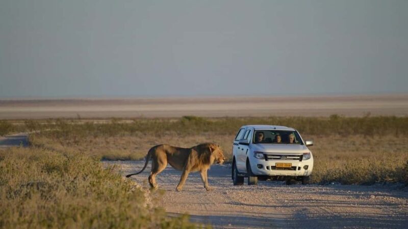 Taste of Namibia Adventure Tour - FAQ
