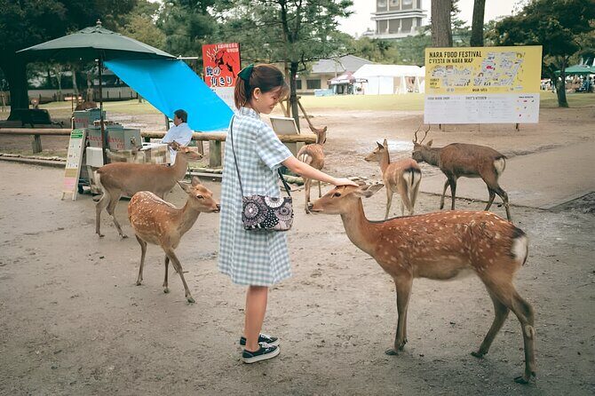 Taste of Nara A Guided Half Day Food Tour Tailored to Your Taste - Key Points
