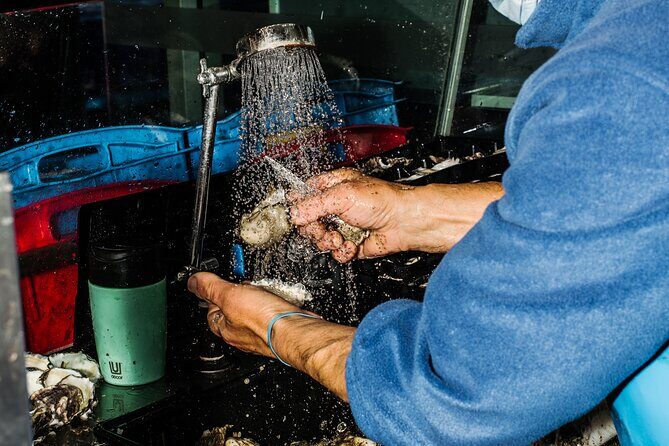 Taste of Sydney Fish Market Food Tour - Who Should Consider This Tour?