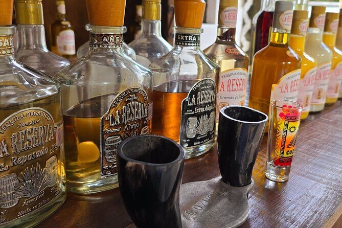 Tastes of Mexico Traditional Food Culture and Beach in Cozumel - Who Will Love This Tour?