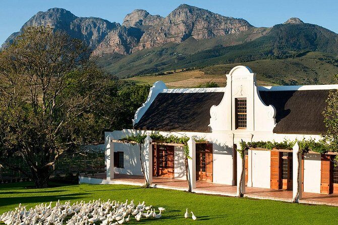 Tastes of Stellenbosch Wine Full Day Tour with Private Transfer - A Detailed Look at the Itinerary and Experience