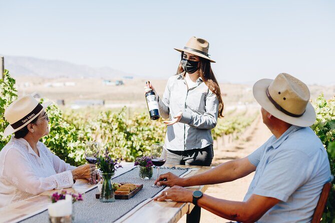 Tasting and tour through the vineyard - Key Points
