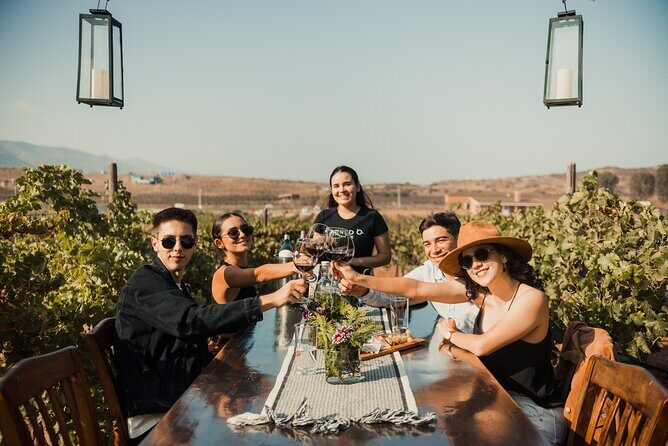 Tasting and tour through the vineyard - The Experience Breakdown: What to Expect from Start to Finish