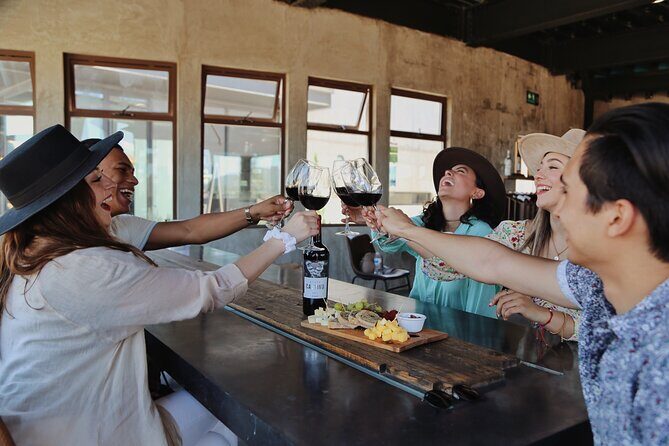 Tasting of 5 wines and tour at the winery Rondo del Valle - An In-Depth Look at the Rondo del Valle Experience