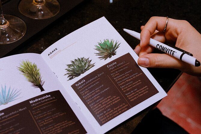 Tasting of Mezcal with the best selling brand in Oaxaca - FAQ