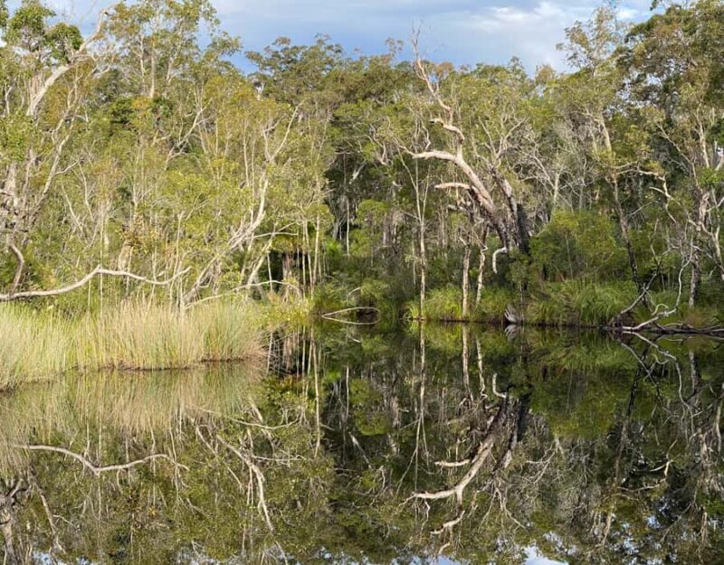 Tasty Noosa Everglades - Price & Value Analysis