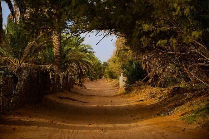 Tatouine - Cheneni - Ksar Ghuilaine - Matmata: 2 days visit - The Bottom Line: Who Should Consider This Tour?