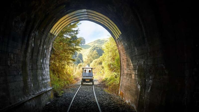 Taumarunui: Forgotten World Rail Cart Tour with Lunch - Key Points