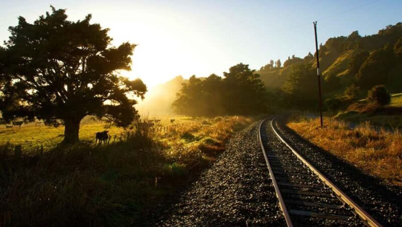 Taumarunui: Forgotten World Rail Cart Tour with Lunch - An In-Depth Look at the Forgotten World Rail Cart Tour