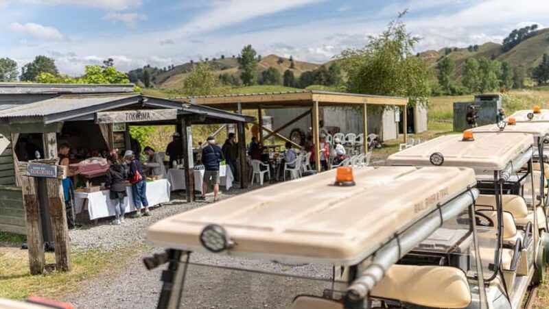 Taumarunui: Forgotten World Rail Cart Tour with Lunch - Authentic Experiences and Guest Feedback