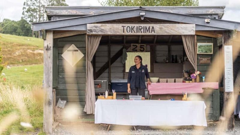 Taumarunui: Forgotten World Rail Cart Tour with Lunch - FAQs