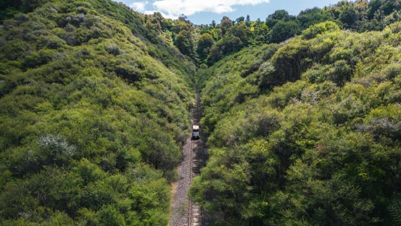 Taumarunui: Railcart and Jetboat Adventure with lunch - Key Points