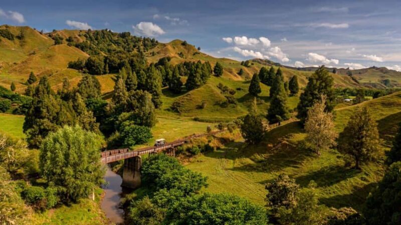 Taumarunui: Railcart and Jetboat Adventure with lunch - Practical Details for Travelers