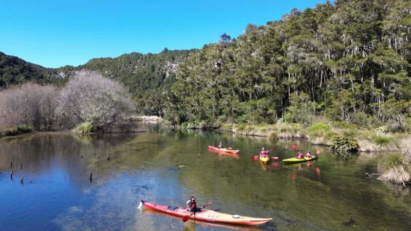 Taup: Hidden Lake Kayak Tour with Sunken Forest Views - Key Points