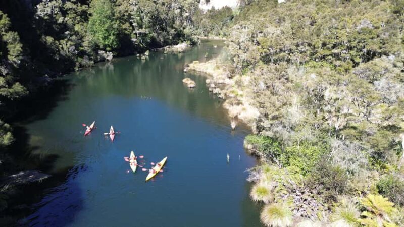Taup: Hidden Lake Kayak Tour with Sunken Forest Views - A Closer Look at the Experience