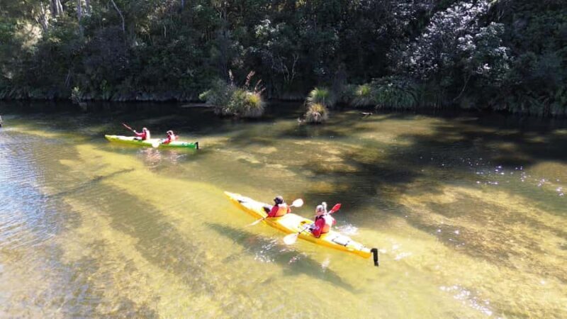 Taup: Hidden Lake Kayak Tour with Sunken Forest Views - Practical Details and Value
