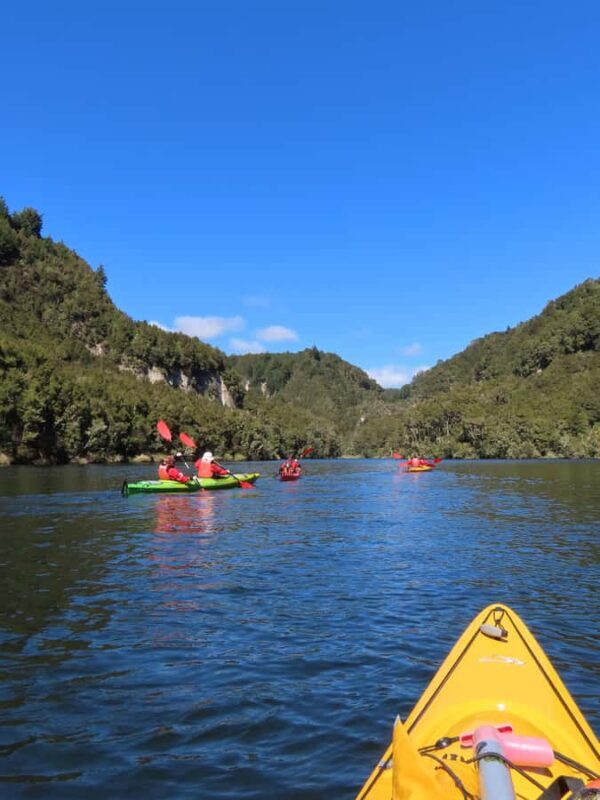 Taup: Hidden Lake Kayak Tour with Sunken Forest Views - The Sum Up