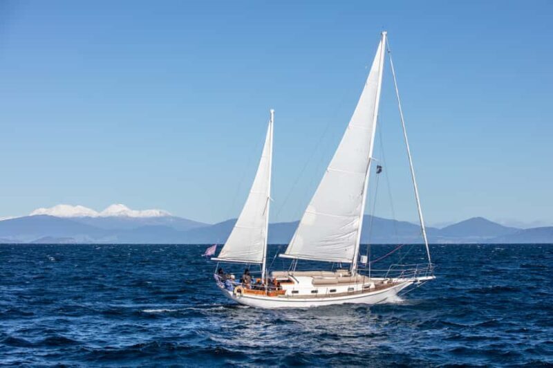 Taup: Sail Barbary Eco Sailing to the Maori Rock Carvings - Taup: Sail Barbary Eco Sailing to the Maori Rock Carvings — An Authentic Lake Taupo Adventure