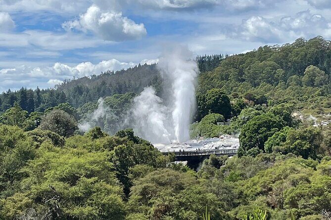 Taup to Auckland via Rotorua and Hobbiton - An In-Depth Look at the Tour Experience