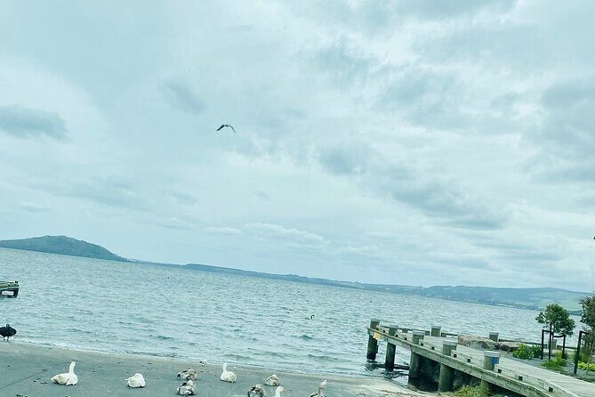 Taup to Auckland via Rotorua and Hobbiton - Analyzing the Value and Practicalities
