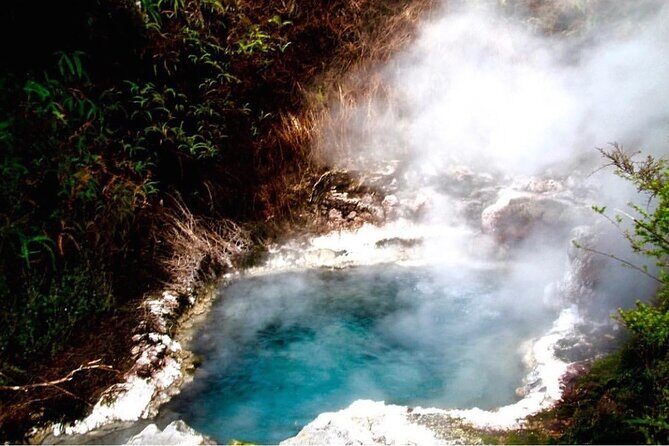 Taupo Day Trip with Orakei Korako or Waiotapu from Rotorua - What the Tour Offers: A Deep Dive