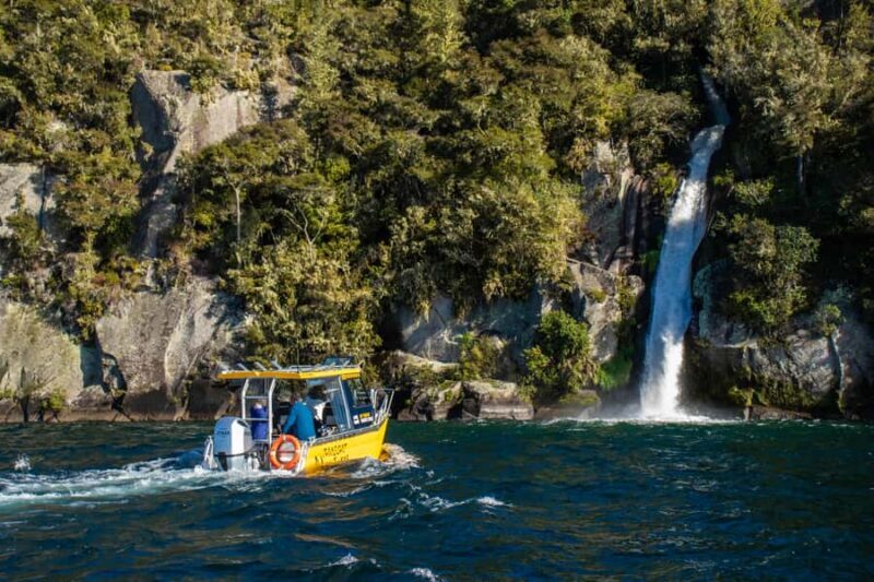 Taupo: Lake Taupo Western Bays Catamaran Tour with Bush Walk - What the Reviews Say