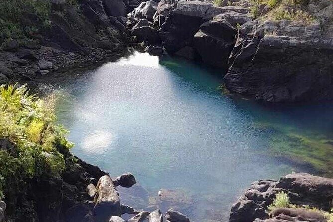 Taupo Private VIP Geothermal Bike Tour - Analyzing the Value