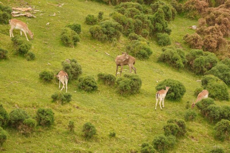 Tauranga City & Scenic Sightseeing 2-hour Tour - Value for Money