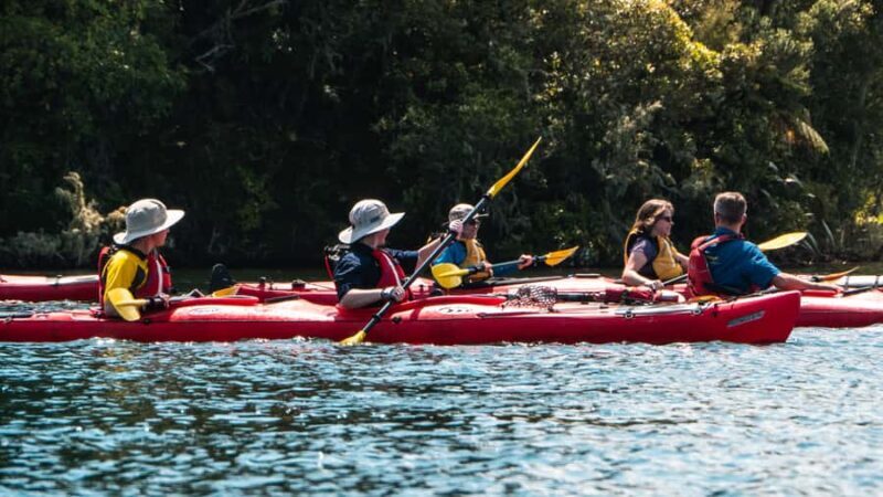 Tauranga: Daytime Scenic Lake McLaren Kayak Tour - An Introduction to the Lake McLaren Kayak Tour