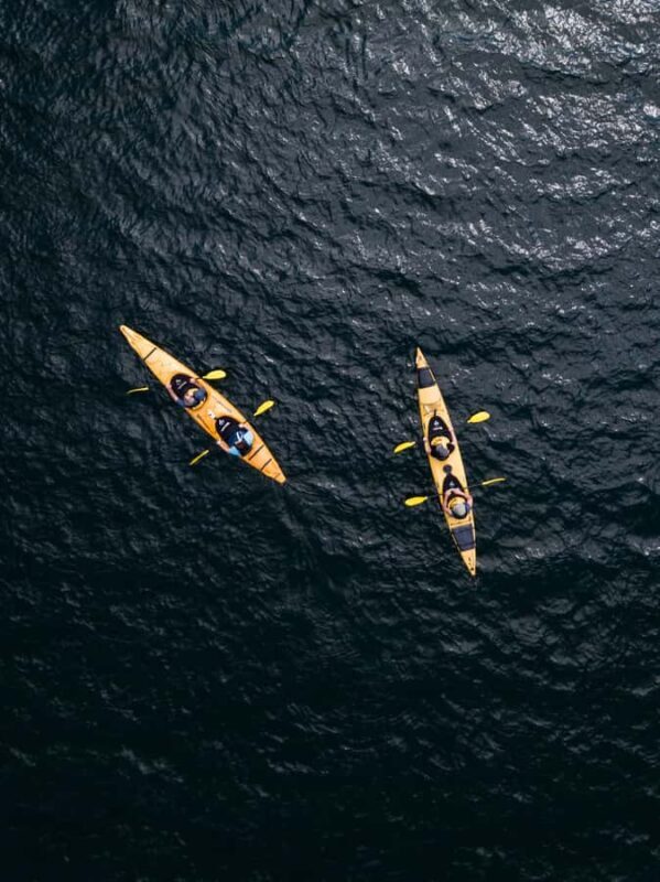 Tauranga: Daytime Scenic Lake McLaren Kayak Tour - Transportation and Comfort