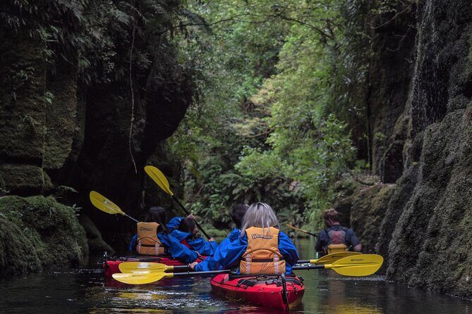 Tauranga Daytime Scenic Lake McLaren Tour - Key Points