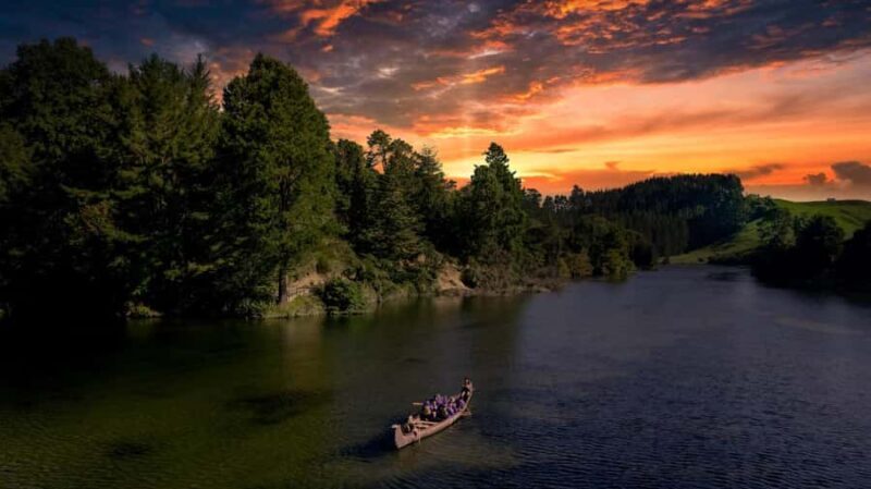Tauranga: Evening Big Kanu Glowworm Tour - A Detailed Look at the Glowworm Experience