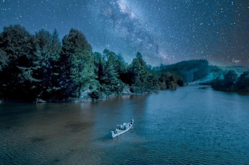 Tauranga: Evening Big Kanu Glowworm Tour - Who Should Consider This Tour?
