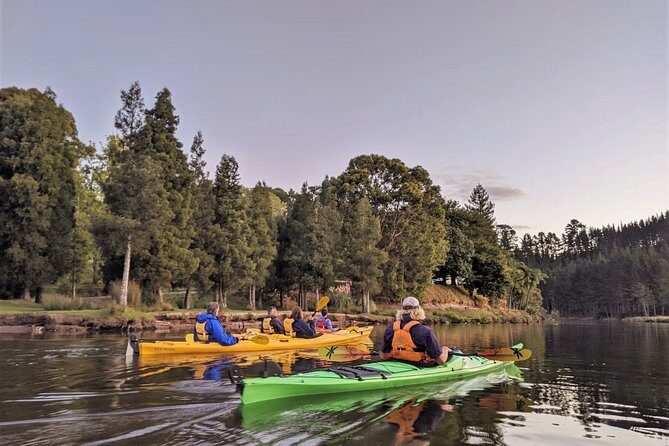 Tauranga: Evening Glowworm Kayak Tour - An Authentic Nighttime Adventure in Tauranga