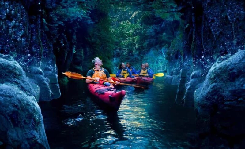Tauranga: Evening Glowworm Kayak Tour - What Makes This Tour Stand Out