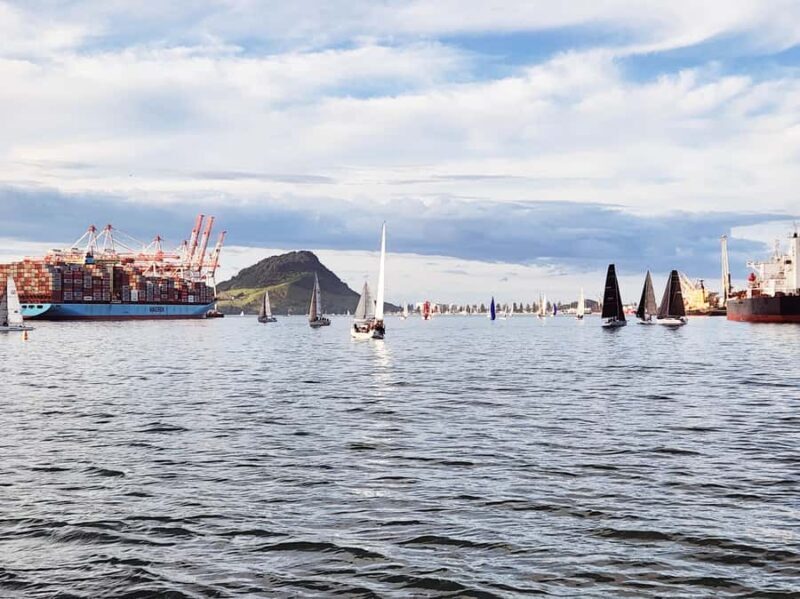 Tauranga Harbour Cruise - What Makes the Tauranga Harbour Cruise Special?