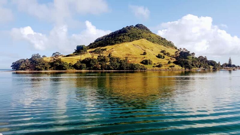Tauranga Harbour Cruise - What’s the Real Value of This Tour?