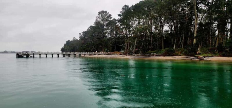 Tauranga Harbour Cruise - The Experience You’re Likely to Have