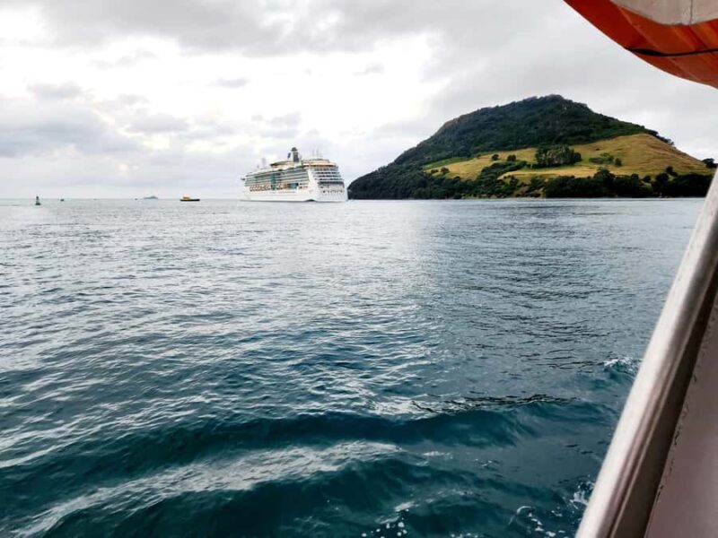 Tauranga Harbour Cruise - Who Would Love This Tour?