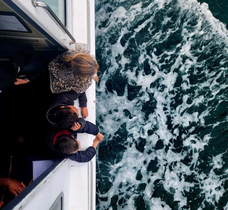 Tauranga Harbour Cruise - Final Thoughts