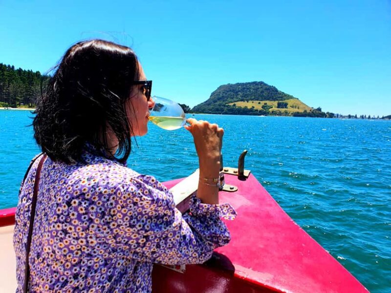 Tauranga: Mount Maunganui Harbour Sightseeing Cruise - What You’ll Experience During the Cruise