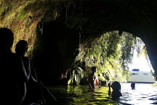 Tauranga Port - Pure Cruise Rotoiti Lake, Glowworms & Hells Gate - Hells Gate Geothermal Reserve & Mud Spa: A Land of Legends and Healing Power