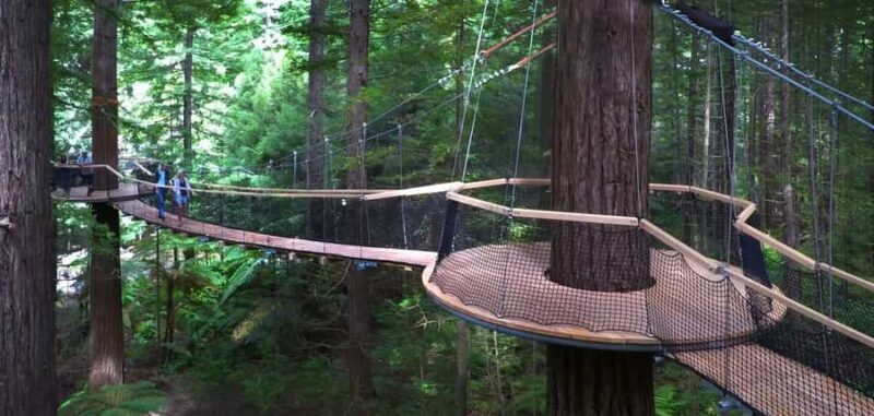 Tauranga: Rotorua Redwoods Tour & Maori Village Experience - Who Will Love This Tour