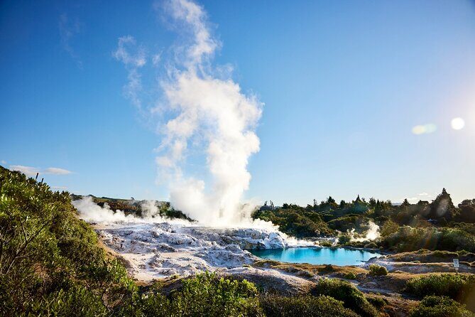 Tauranga Shore Excursion: Rotorua Highlights - FAQs