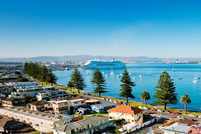 Tauranga Shore Excursion: Top Half Day Curated Highlights Tour - An Honest Look at the Tauranga Highlights Tour