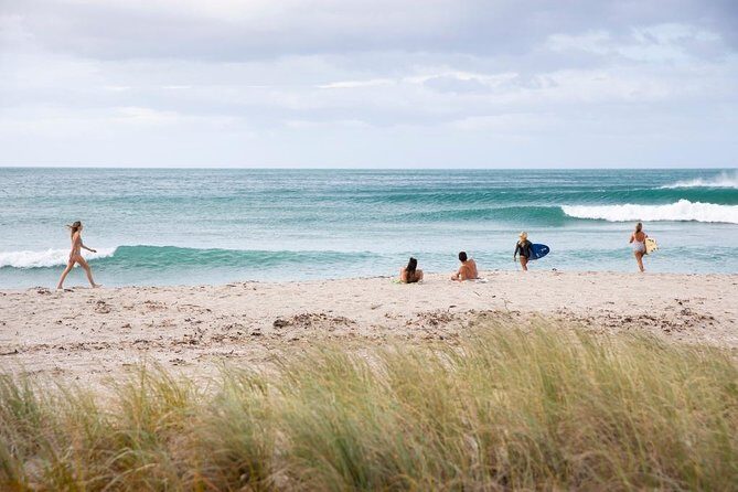 Tauranga Shore Excursion: Top Half Day Curated Highlights Tour - FAQs