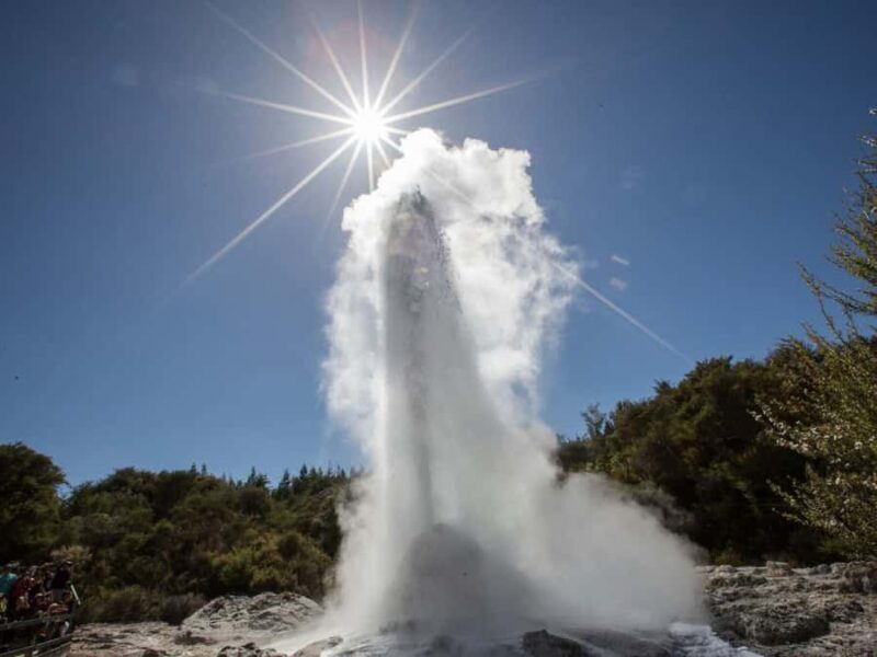 Tauranga: Wai-o-Tapu with Redwood Forest Walk or Forest Spa - An Introduction to the Tour