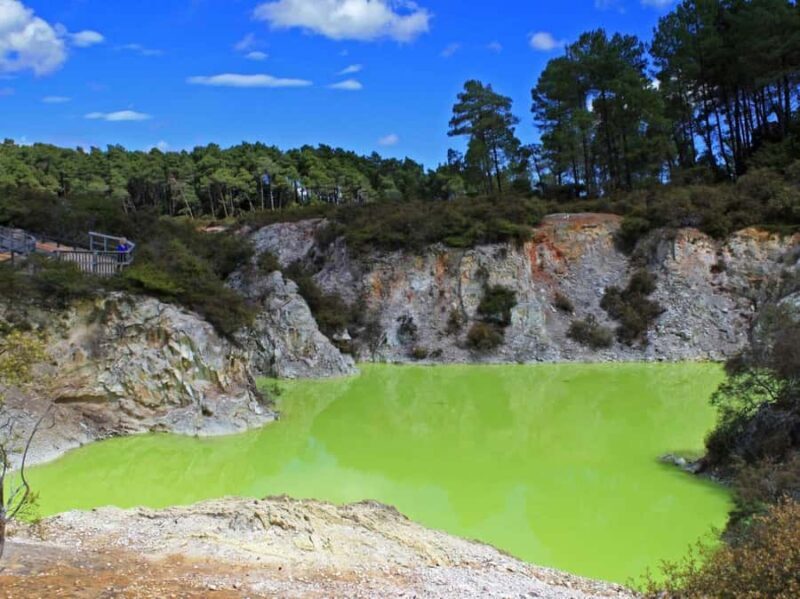 Tauranga: Wai-o-Tapu with Redwood Forest Walk or Forest Spa - Highlights of the Tour