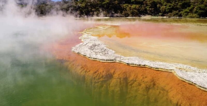 Tauranga: Wai-o-Tapu with Redwood Forest Walk or Forest Spa - Practical Aspects & Value