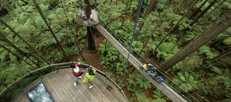 Tauranga: Wai-o-Tapu with Redwood Forest Walk or Forest Spa - Final Thoughts: Who Will Love This Tour?